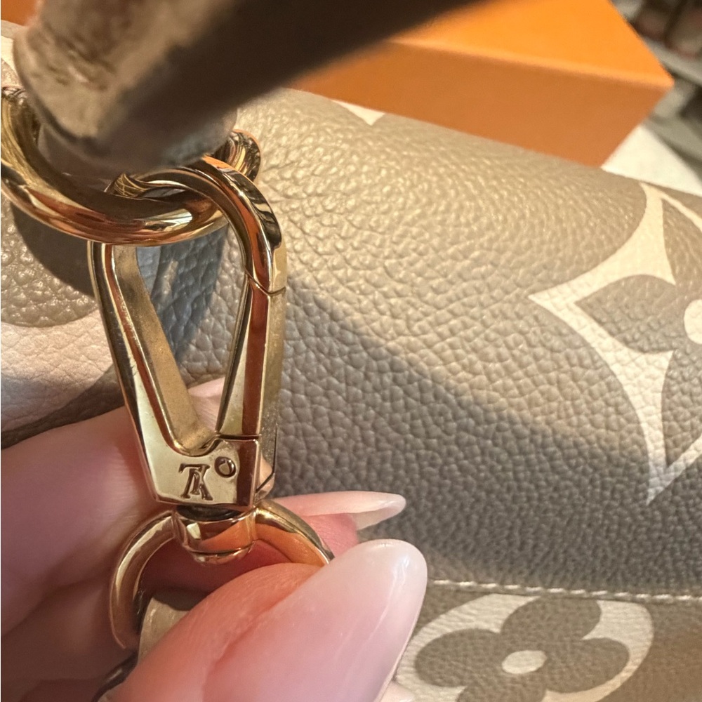 Louis Vuitton Madeleine MM in Taupe Bicolor Leather - Picture 11 of 12